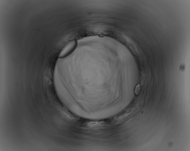 X0000102010465200808081729