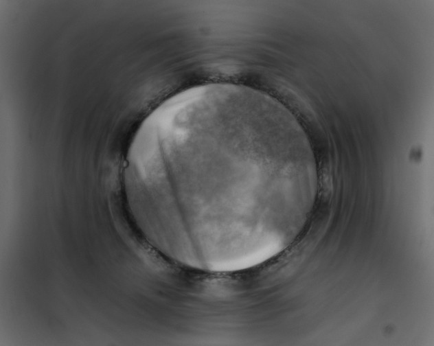 X0000102010468200808081729