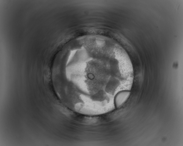 X0000102010469200808081729