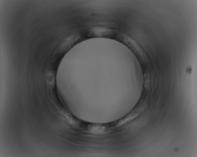 X0000102010471200808081729