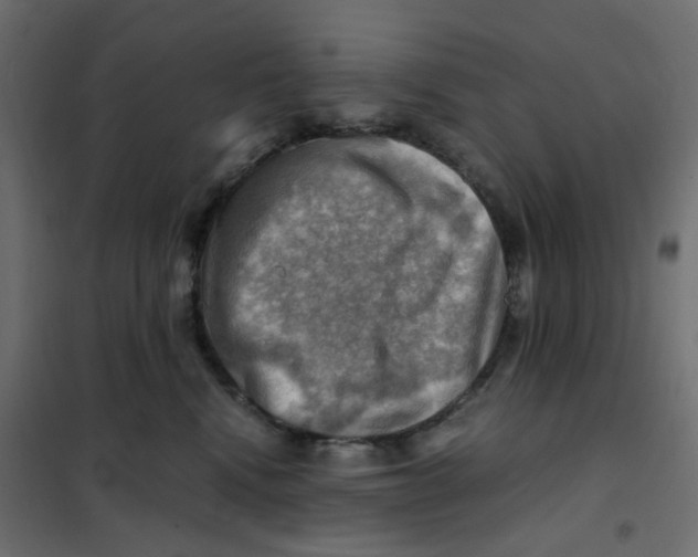 X0000102010472200808081729