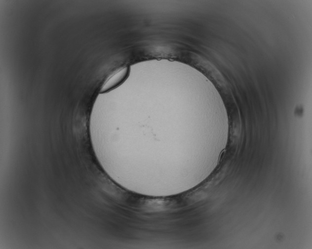 X0000102010473200808081729