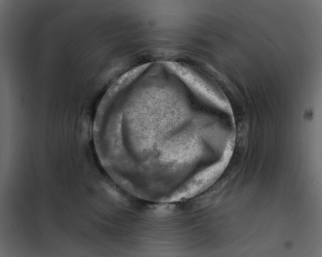 X0000102010474200808081729