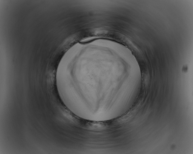 X0000102010475200808081729