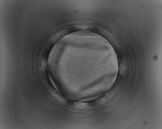 X0000102010476200808081729