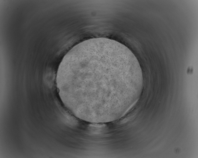 X0000102010480200808081729