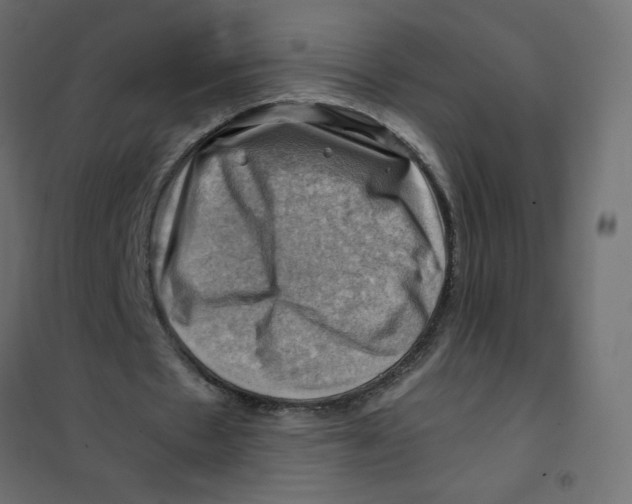 X0000102010481200808081728