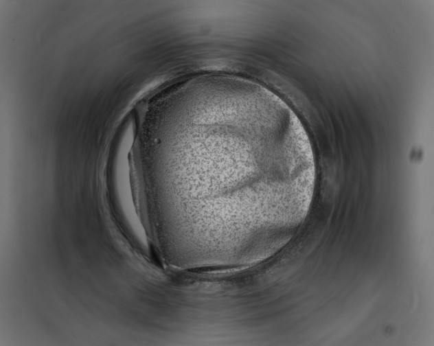 X0000102010482200808081728