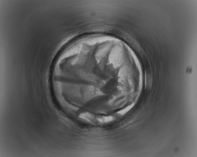 X0000102010483200808081728