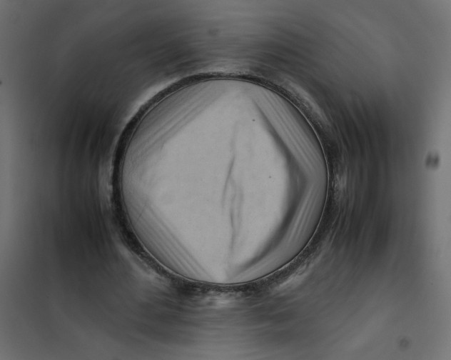 X0000102010484200808081728