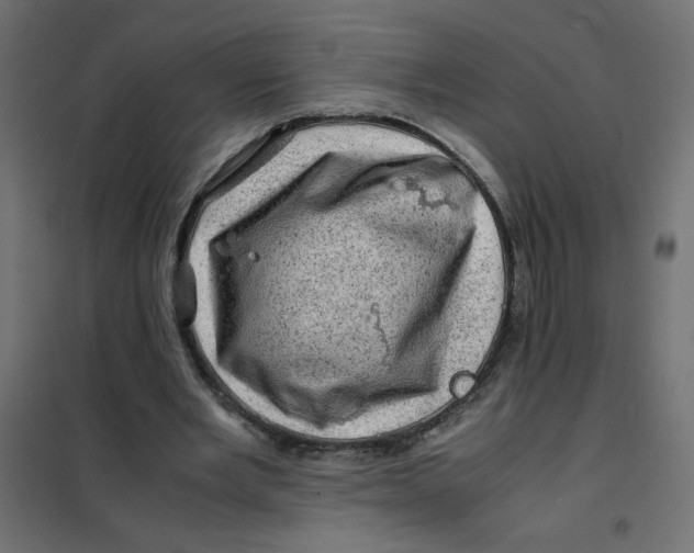 X0000102010485200808081728