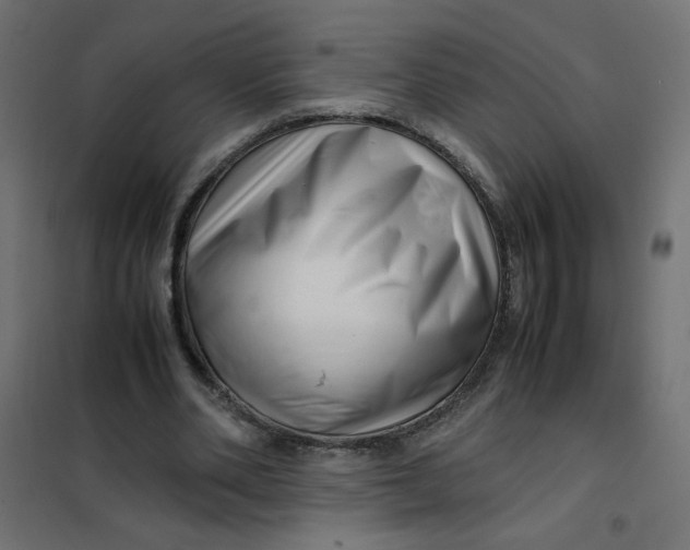 X0000102010486200808081728