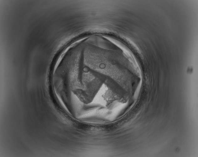 X0000102010487200808081728