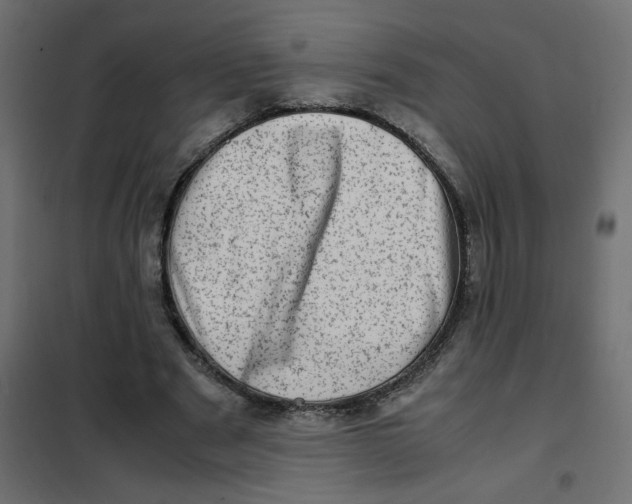 X0000102010489200808081728