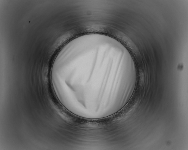 X0000102010490200808081728