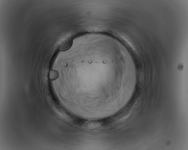 X0000102010491200808081728