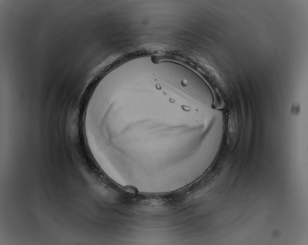 X0000102010492200808081728