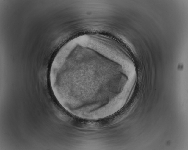 X0000102010493200808081728