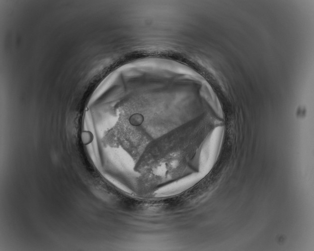 X0000102010495200808081728