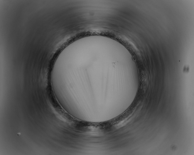 X0000102010496200808081728