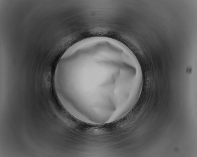 X0000102010498200808081728