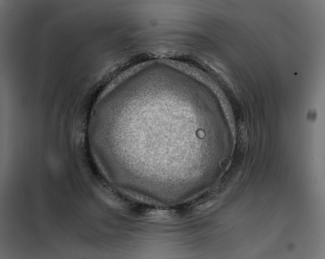 X0000102010499200808081728