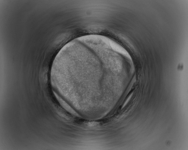 X0000102010501200808081728