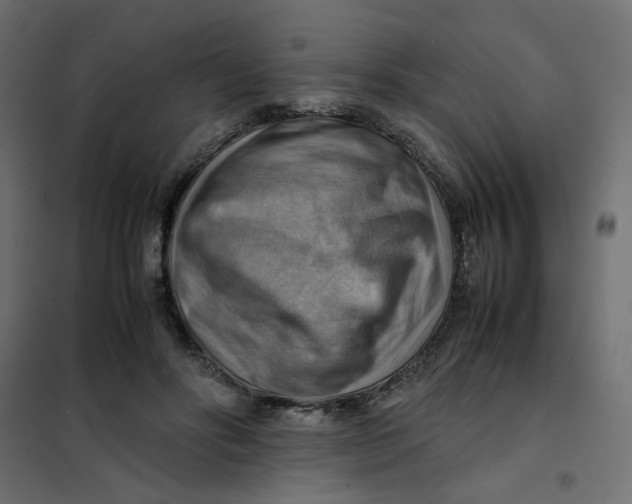 X0000102010502200808081728