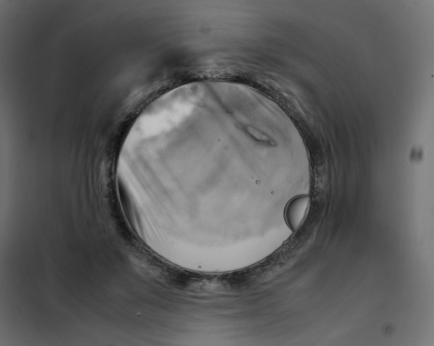 X0000102010503200808081727