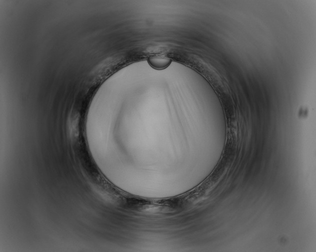 X0000102010504200808081727