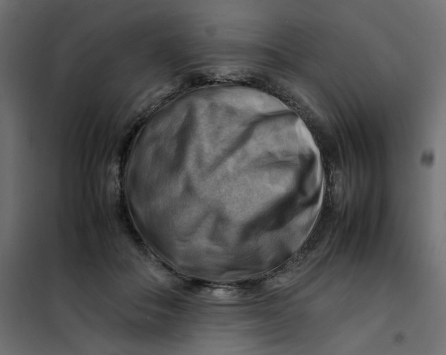 X0000102010506200808081727