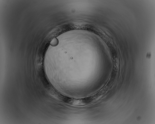 X0000102010507200808081727