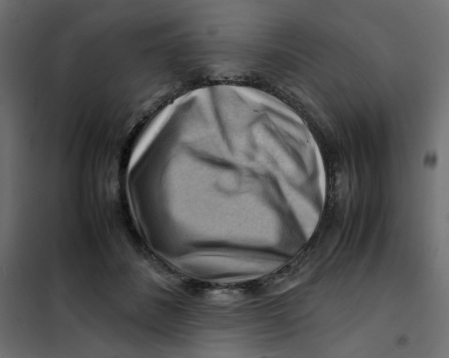 X0000102010508200808081727