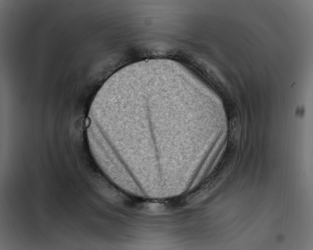 X0000102010509200808081727