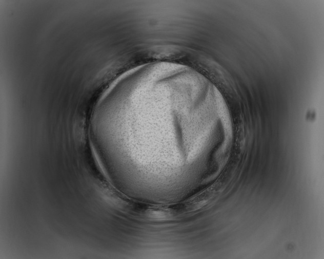 X0000102010510200808081727