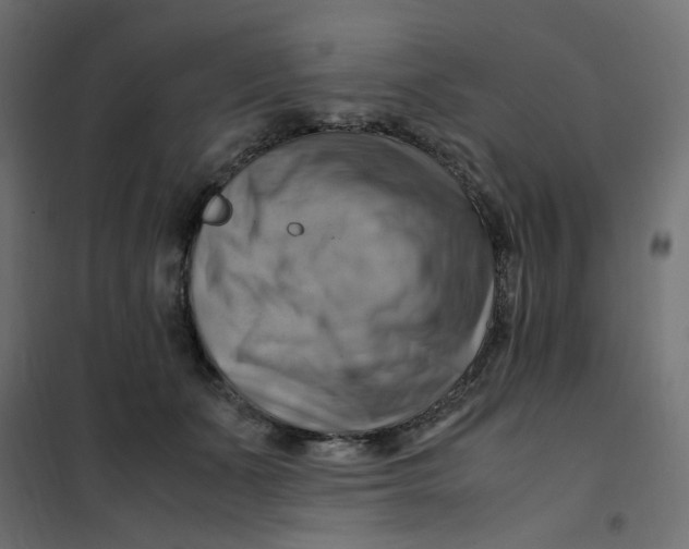 X0000102010511200808081727