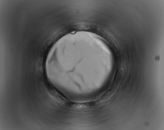 X0000102010512200808081727