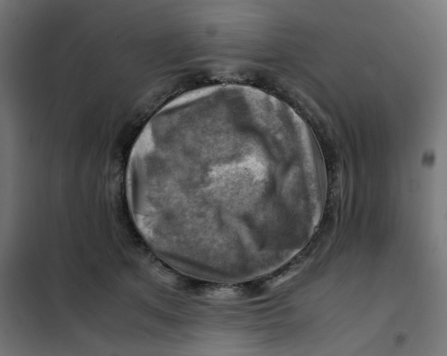 X0000102010513200808081727