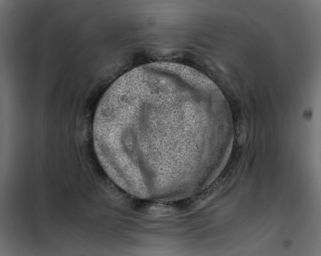 X0000102010515200808081727