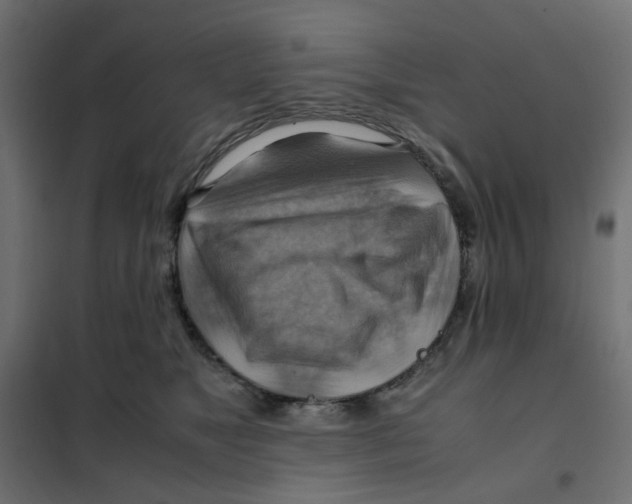 X0000102010517200808081727