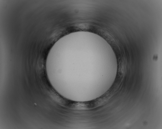 X0000102010518200808081727