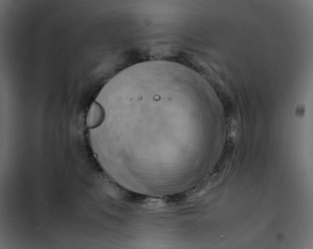 X0000102010519200808081727