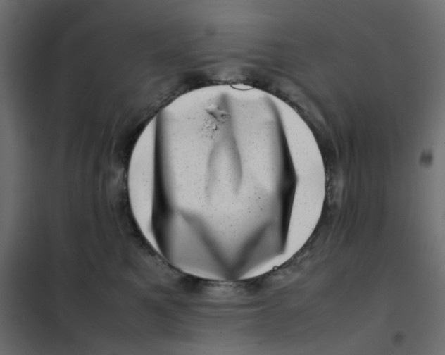 X0000102010521200808081727