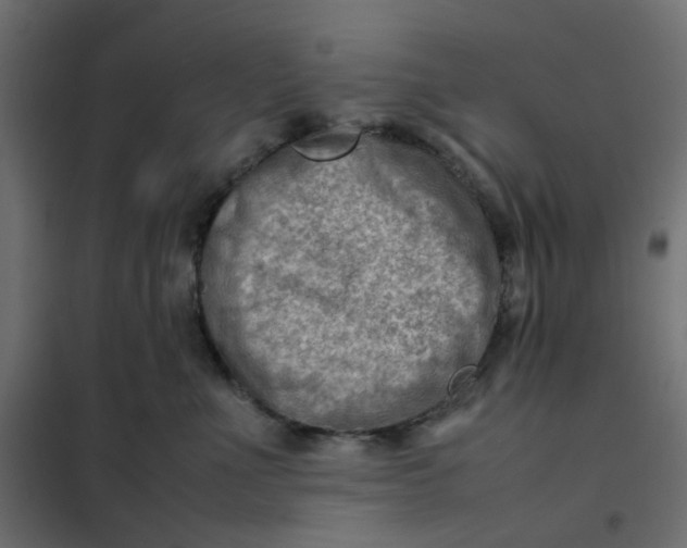 X0000102010523200808081727