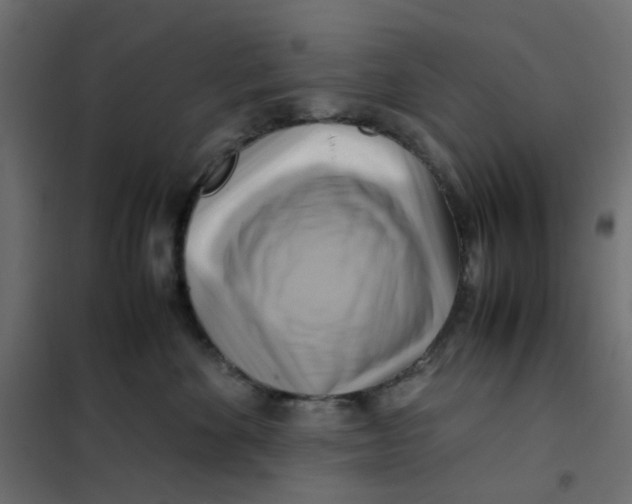 X0000102010524200808081727