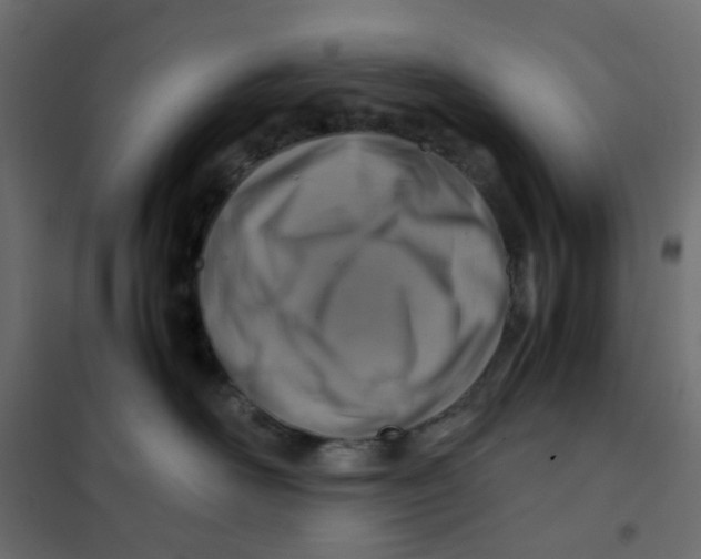 X0000102010526200808081727