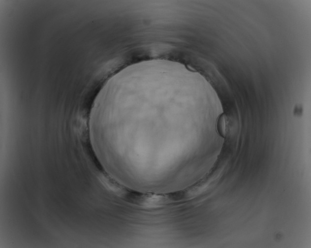 X0000102010527200808081727