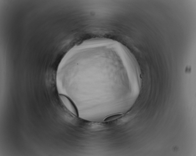 X0000102010528200808081727