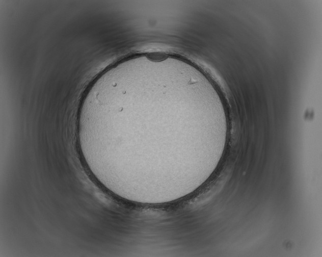 X0000102010529200808081726