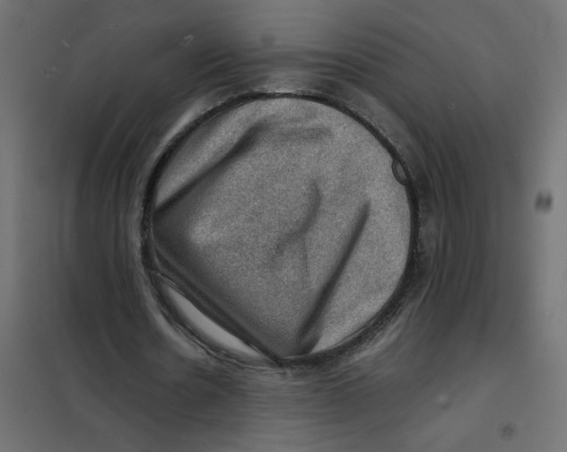 X0000102010530200808081726